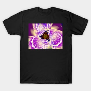 Spirals Around A Rose T-Shirt